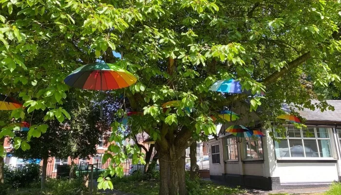 Colourful umbrellas hanging on a tree outside Cherry Lodge