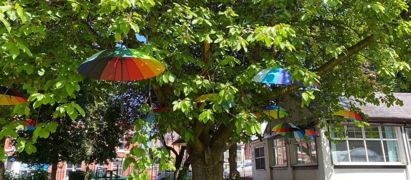 tree with umbrellas hanging from the branches with white building in the right corner