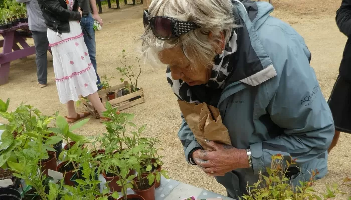 Person looking at plants and seeds on a stall table